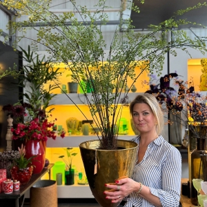 Zijden planten