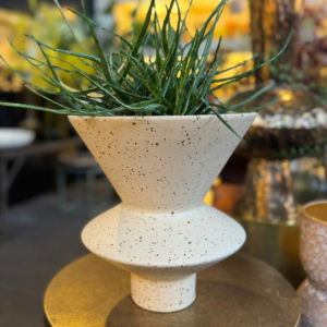 Urban Nature Culture